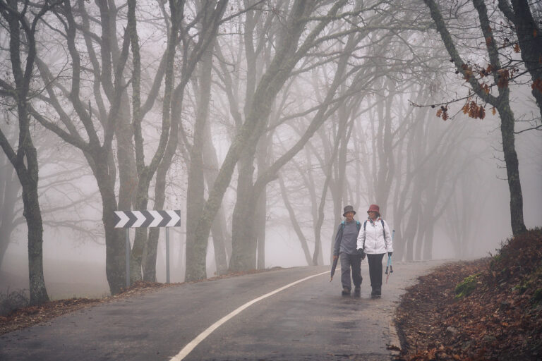 #12meses12rutas. 7ª Ruta Por la Hinojosa