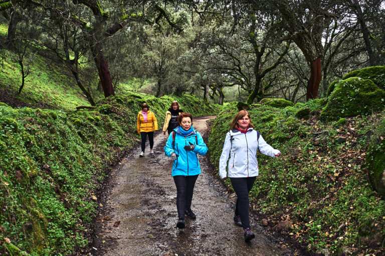#12meses12rutas. 9ª Ruta Por los Enebros